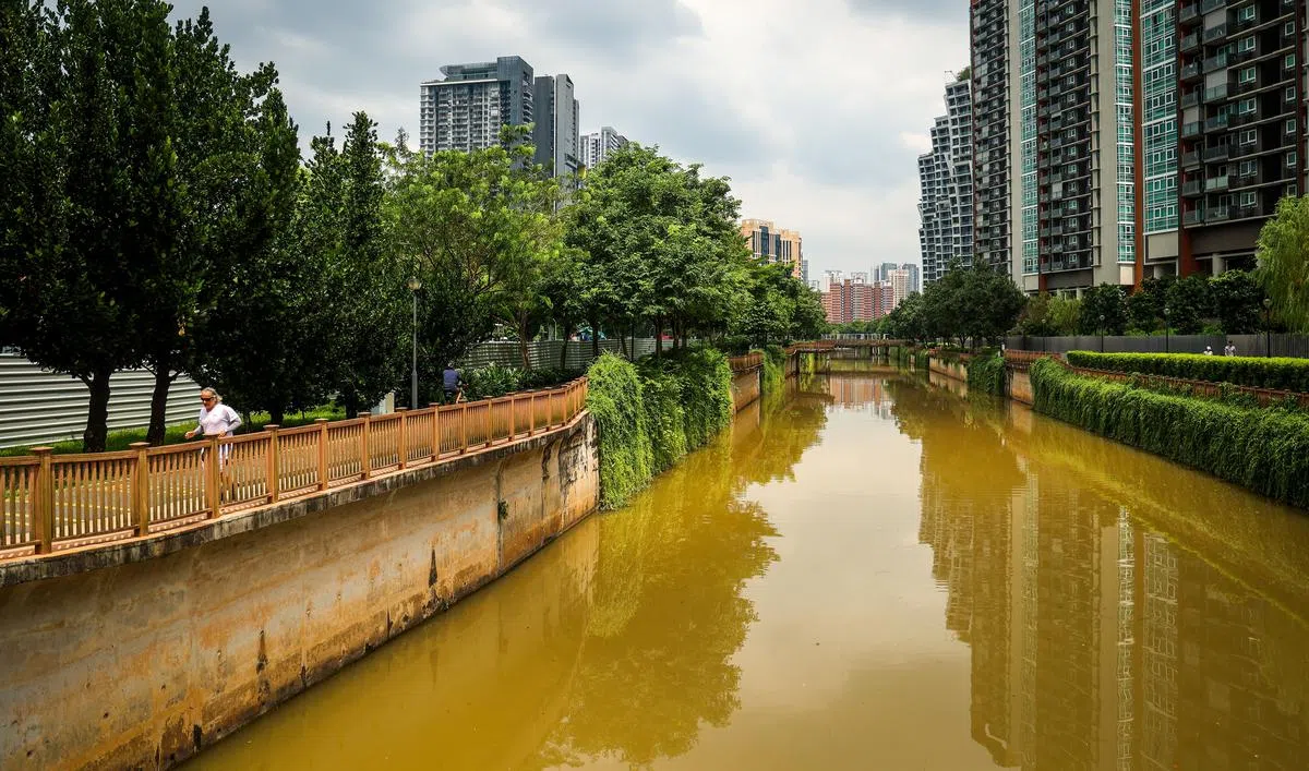 从市区骑行到邻里，新加坡河两旁的风景也随之变化。（摄影 / 叶振忠）