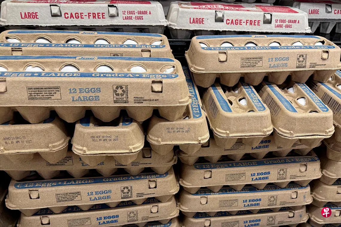为缓解“蛋荒” 美国从韩国与土耳其进口鸡蛋| 联合早报