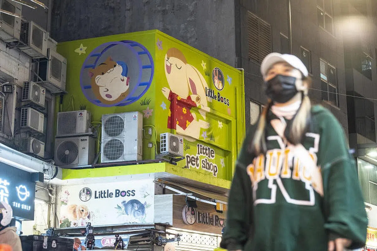 铜锣湾Little Boss宠物店今年1月出现仓鼠感染的案例。图为该宠物店在香港的门店招牌。（彭博社）