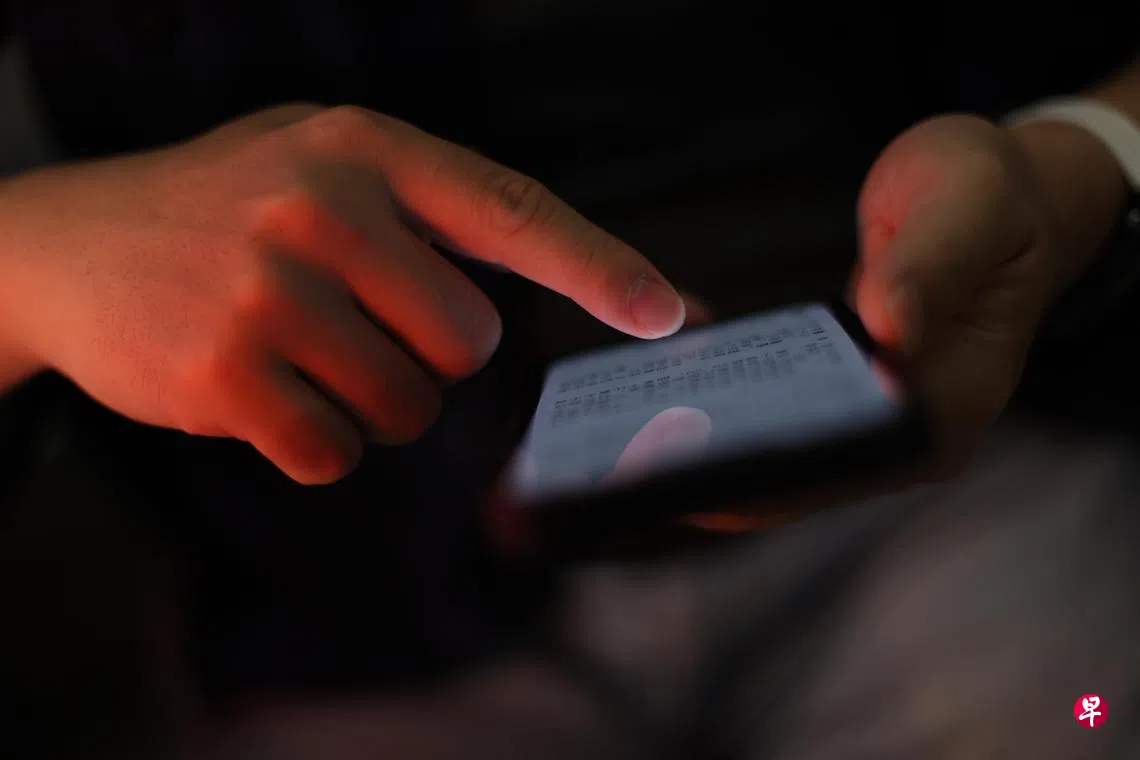 马国金融分析师误信投资广告坠骗局损失逾4万元| 联合早报