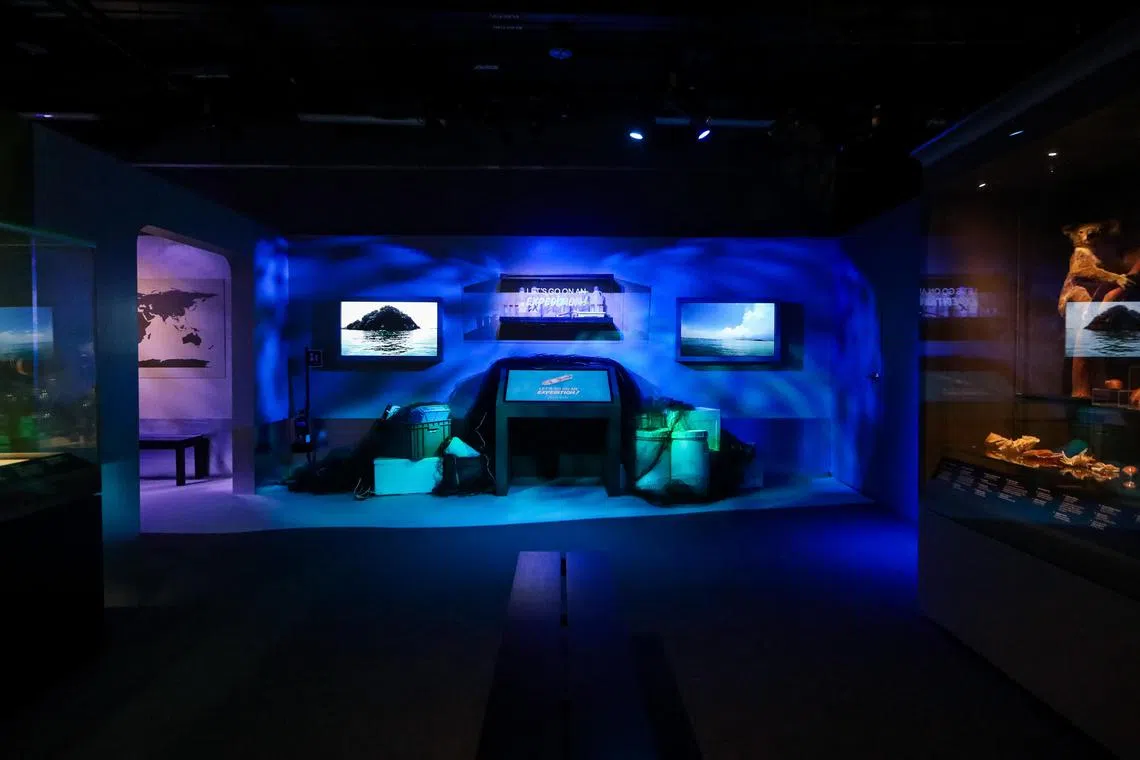 从5月7日至明年5月3日，国大李光前自然历史博物馆将举行“拾年寻迹：李光前自然历史博物馆的探索之旅”（A Decade of Discovery: Stories from the Lee Kong Chian Natural History Museum）展览。（刘欣怡摄）