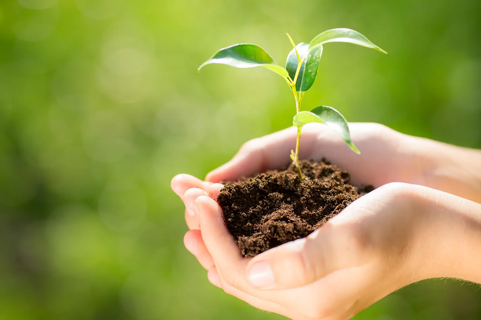 （图/Getty Images）