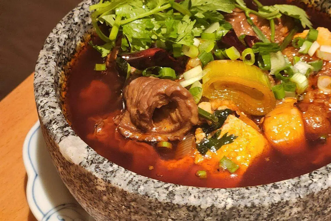 小菜鲜豆花烧肥肠（$17.30）的鲜豆花块像豆腐，饱吸汤汁。（陈爱薇摄）