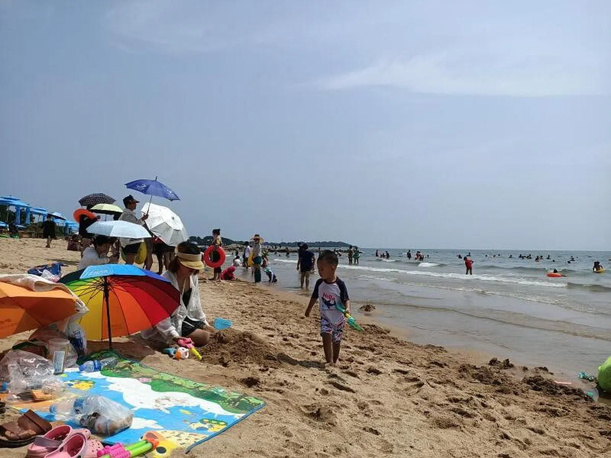 北戴河濒临渤海，距离北京约300公里，当地的海岸线长22.5公里，是中国著名的避暑胜地。（早报）