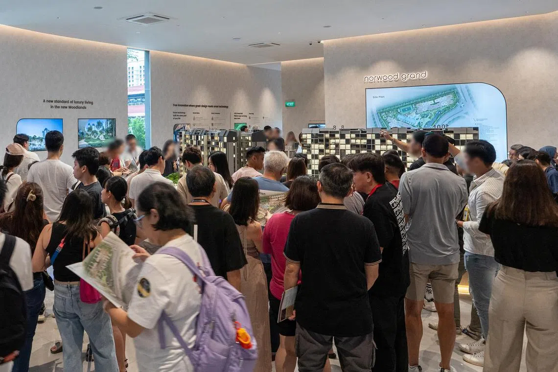 景林嘉园（Norwood Grand）开售的首个周末售出348个单位中的292个（84%），是今年销售成绩最好的私宅项目。（城市发展提供）