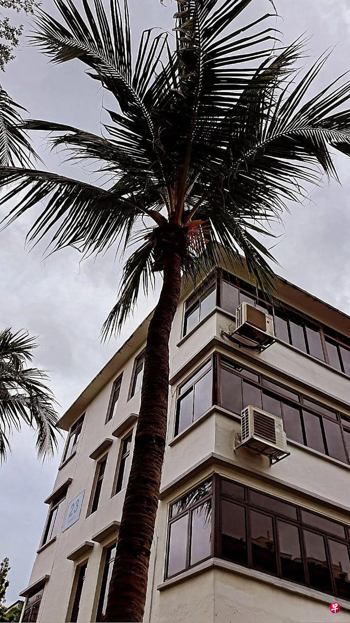 留学博客】新加坡的“冬天” | 联合早报