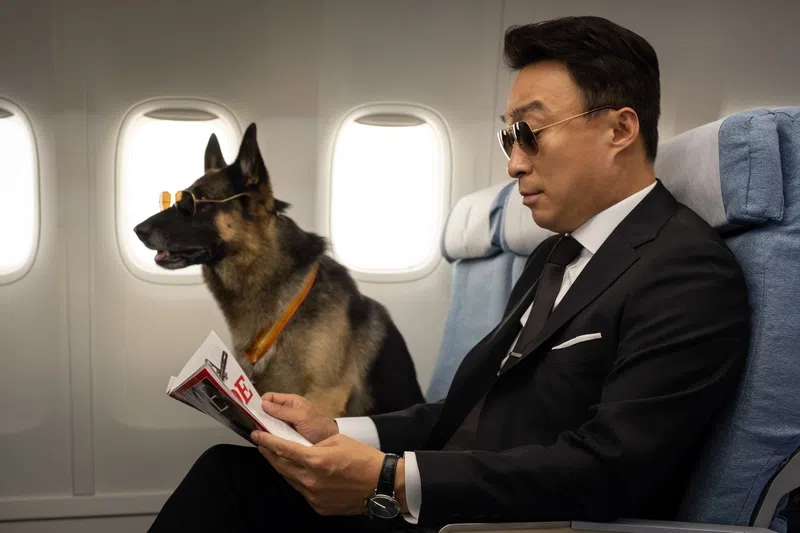 韩国电影《明明会说话》。（互联网）