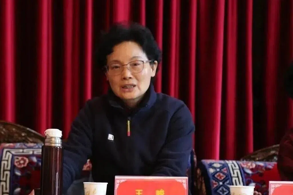 泄露工作秘密 西藏人大常委会原副主任王峻被双开