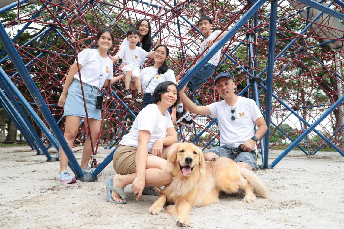 蔡烈铭一家七口，还养了一只黄金猎犬，是本地少见的多子女家庭。（李冠卫摄）