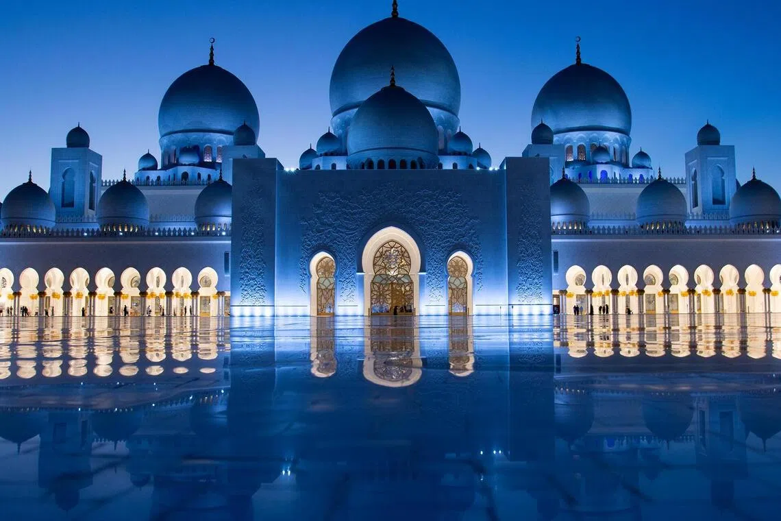 彩色公开组GPU表扬奖（丝带）：阿布扎比／Giancarlo Gimona（意大利）（新加坡摄影学会提供）