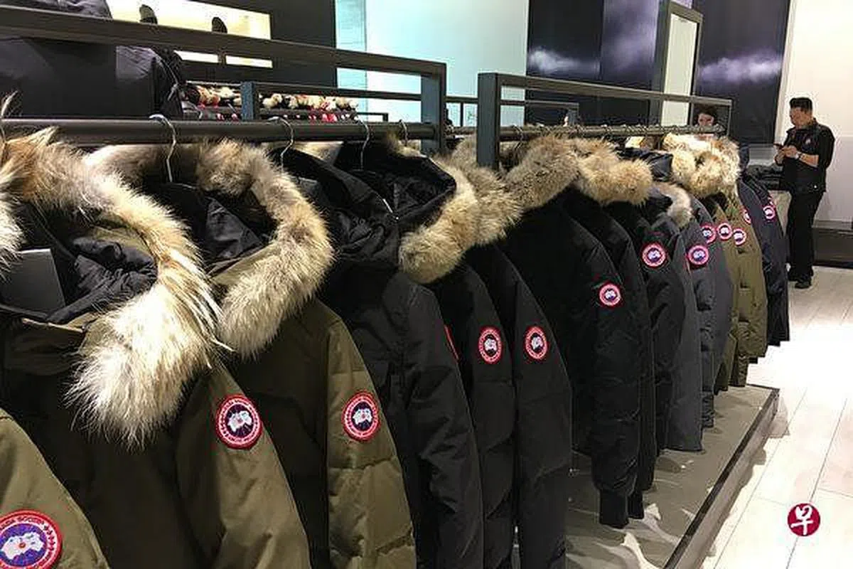 被中国消费者追捧的加拿大鹅羽绒服一件动辄上万人民币。（互联网）