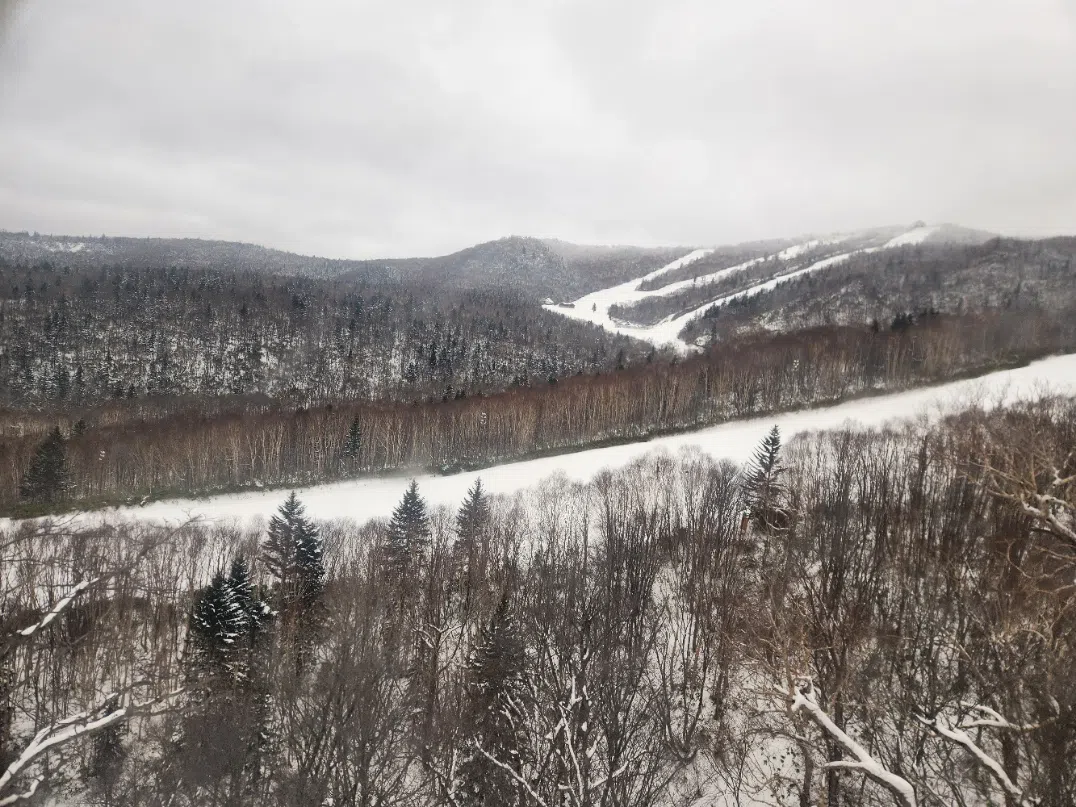 从缆车上看到的雪山景观。（李政辉摄）