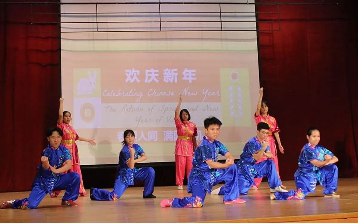 武术表演刚柔并济，气势磅礴。（淡滨尼美廉初院提供）