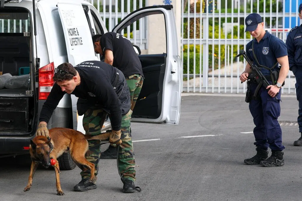 欧盟历来首次制定猫狗动物保护法令