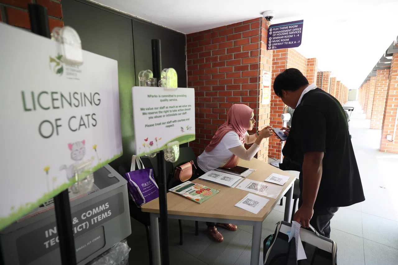 在最后环节，猫主须扫描二维码完成注册，就算成功领到“养猫”执照；“毛孩子”从此有了“身份证”。（蔡家增摄）