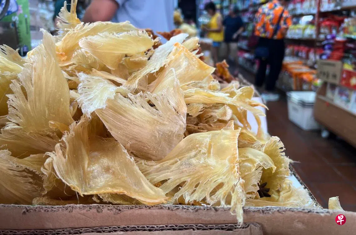 基因检测揭露本地售卖鱼翅多属受监管鲨鱼种类| 联合早报