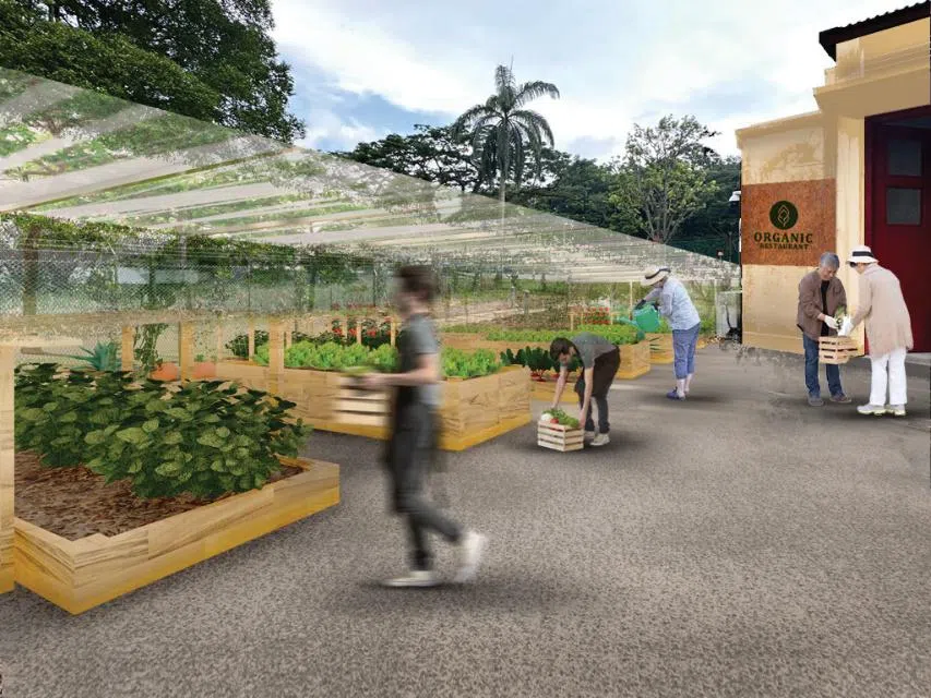 贤能集团提供的构想图勾画前武吉知马消防局未来的社区花园专用空间。（贤能集团提供）