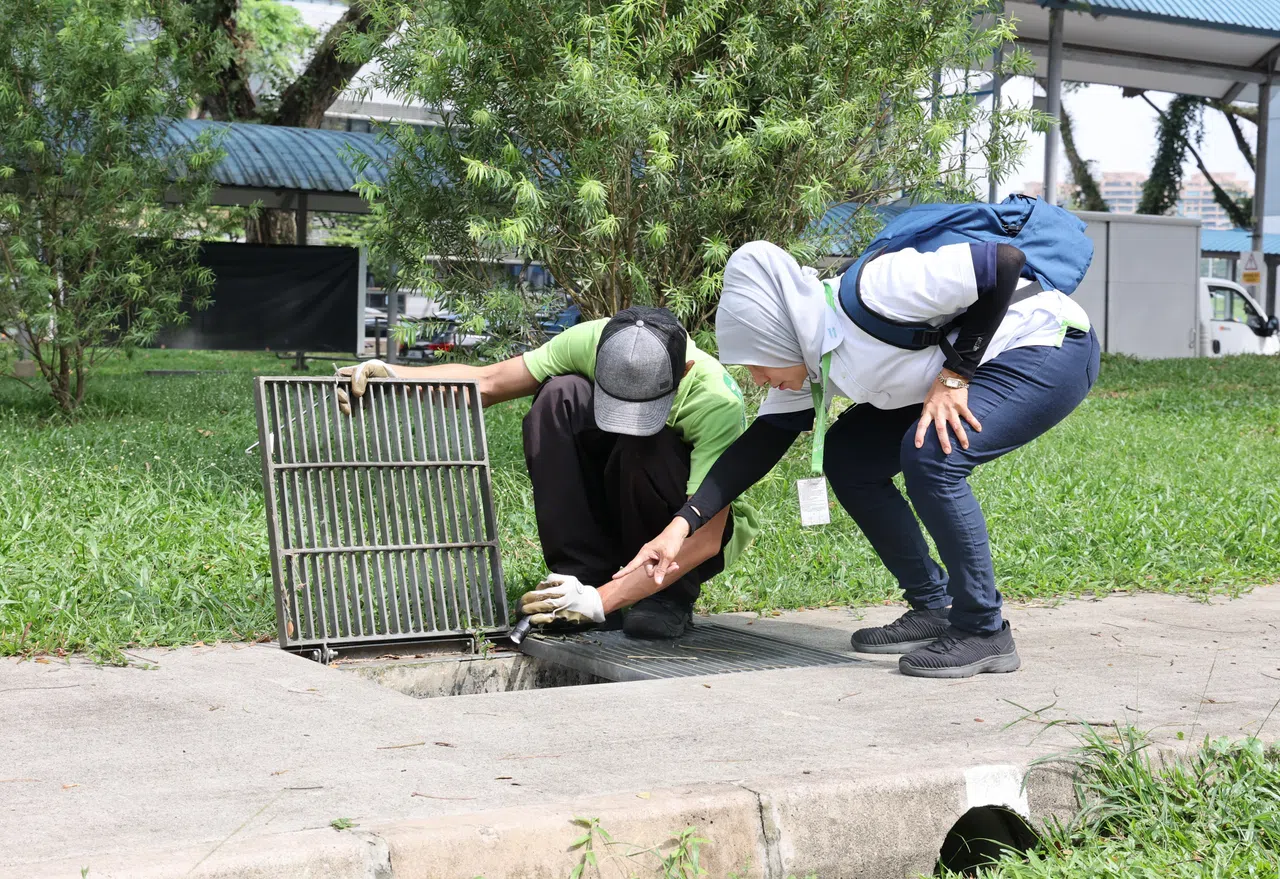 环境局与承包商防治害虫公司Verminator的人员在大巴窑检查沟渠，看有无伊蚊滋生。（唐家鸿摄）