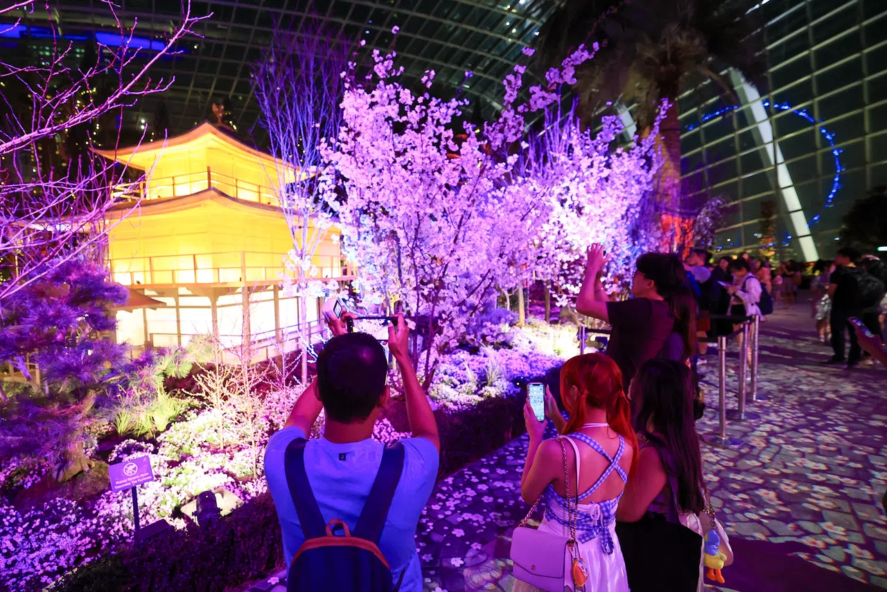 京都标志性建筑金阁寺的模型占据樱花展最中心位置。（吴先邦摄）