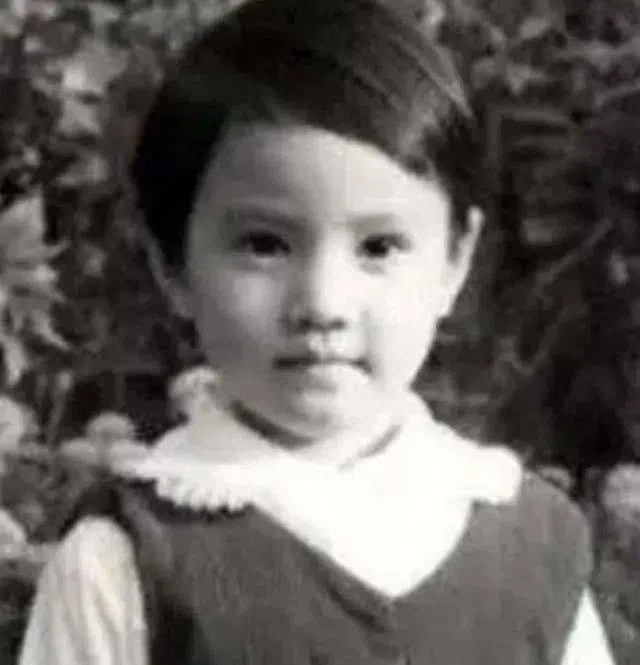 周海媚是在香港出生的满族人。（互联网）