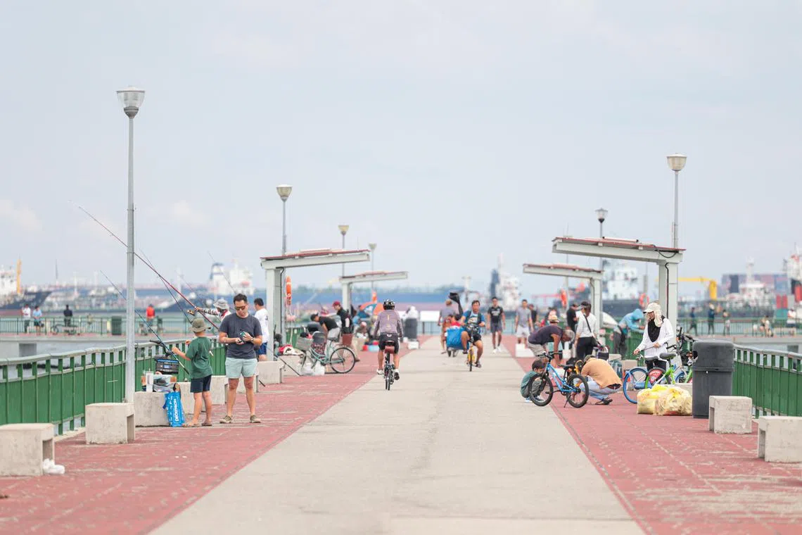 周末的勿洛码头，垂钓者络绎不绝。（李冠卫摄）