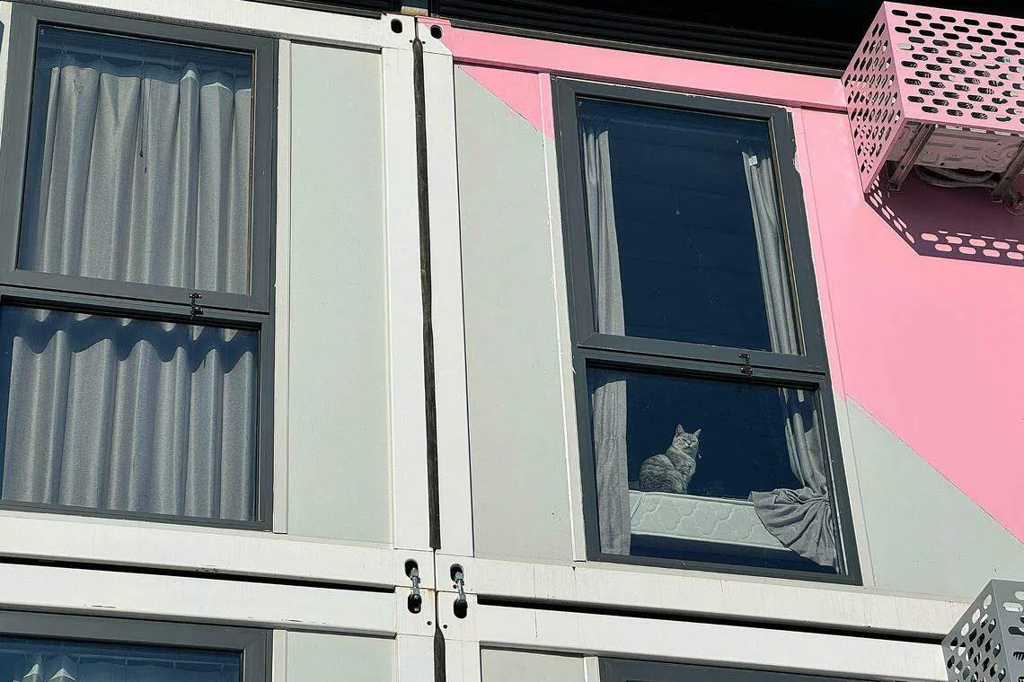 曾严禁宠物的隔离方舱，如今允许住户养宠物。（黄小芳摄）