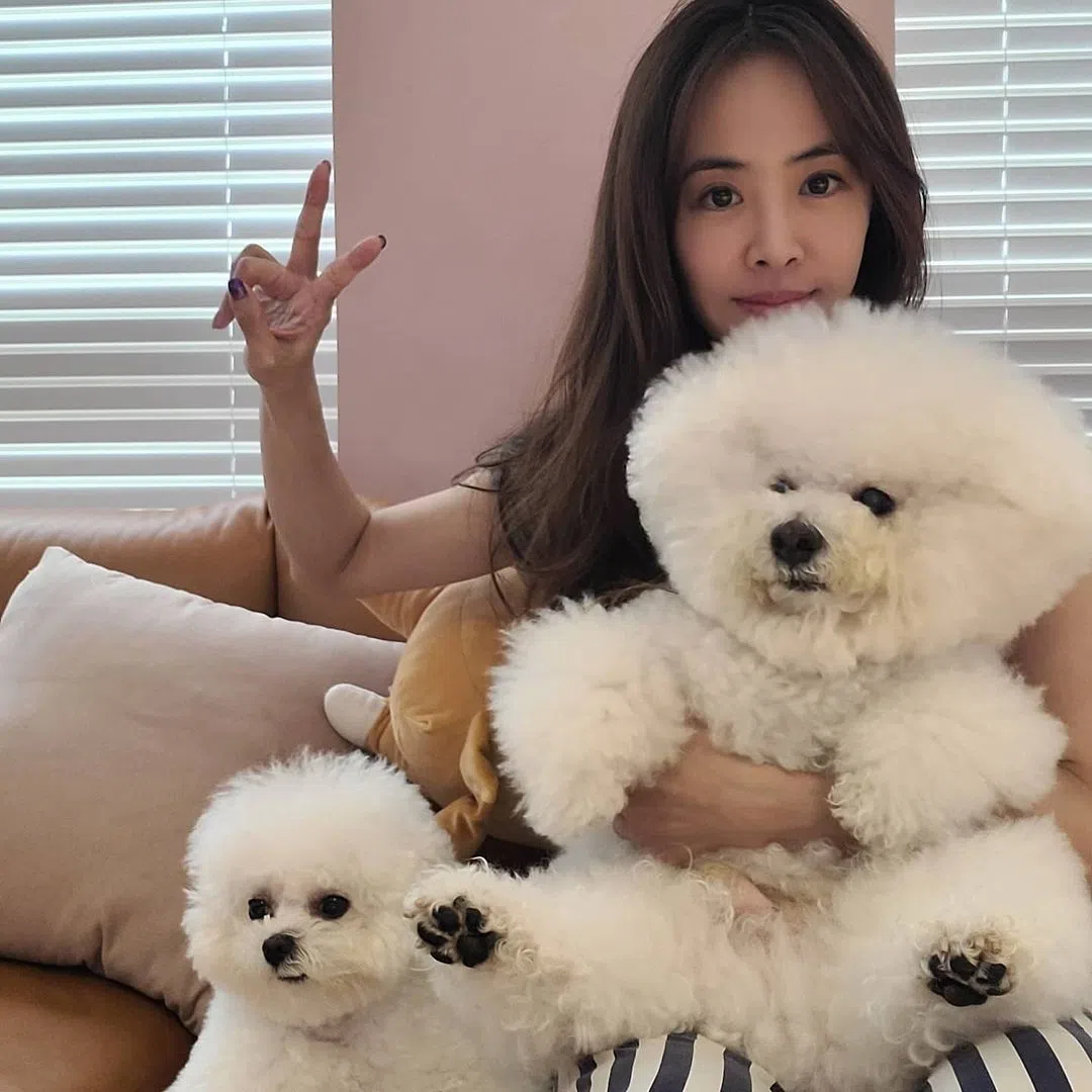蔡依林养了两只狗狗，“屋虎”（手抱着）和“社长”。（取自蔡依林IG）