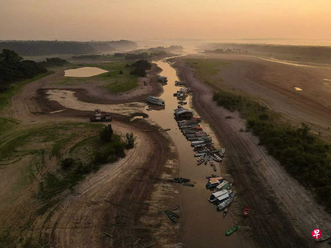 亚马逊雨林严重干旱船只受困泥床无法航行| 联合早报