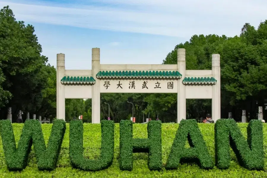 武汉大学教师被86页长文举报 学校已启动调查