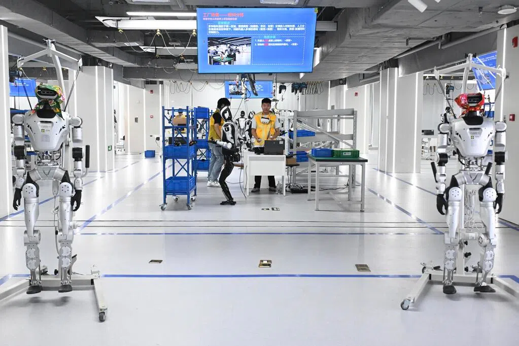 Humanoid Robots