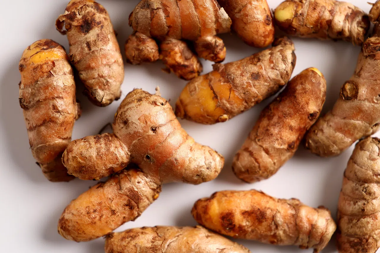 姜黄主要活性成分是姜黄素，具有强效抗氧化和抗炎作用。（龙国雄摄）