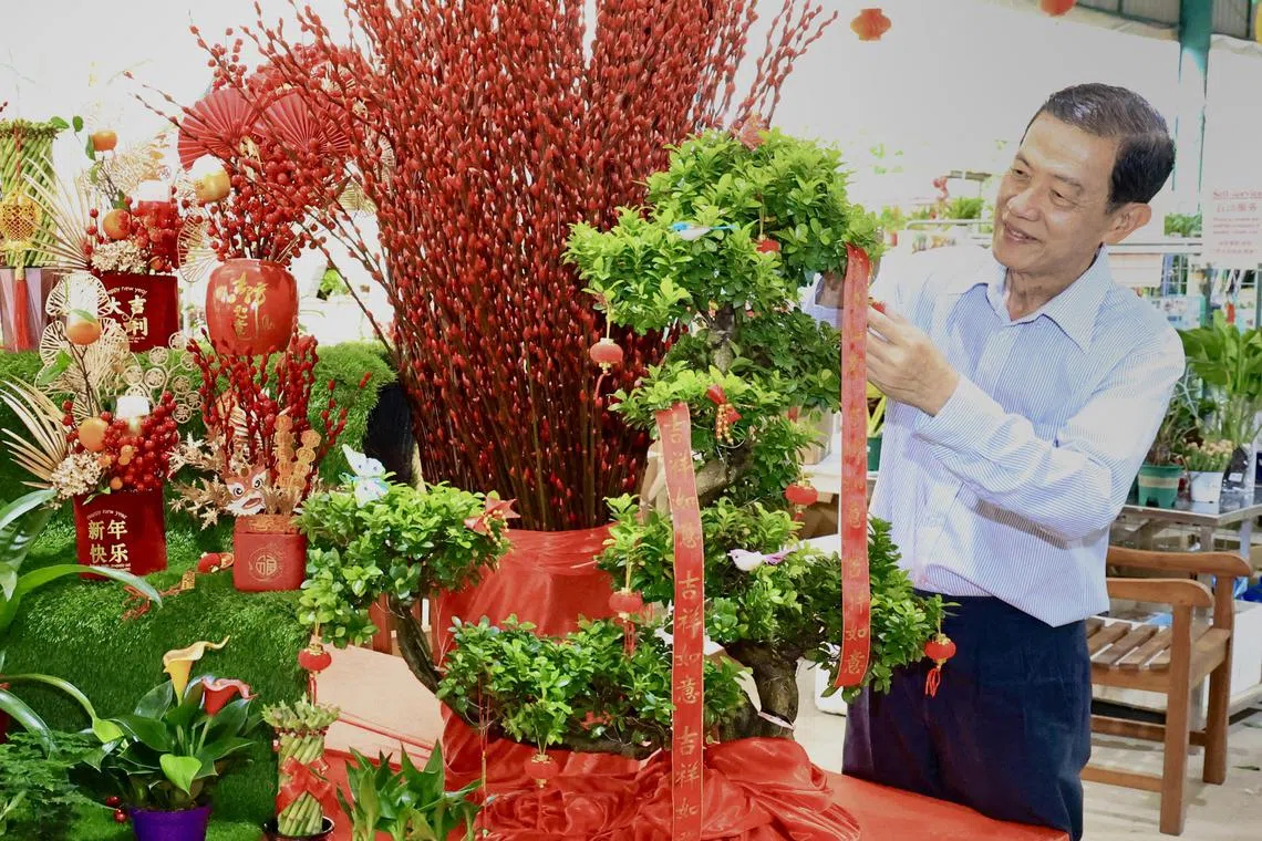 加东生花店公司执行董事刘禧旦配合龙年引进一系列具龙年特色的盆栽，为常见的年花加上有龙元素的喜庆装饰，或将一些盆景的枝叶修剪成龙的造型。（特约陈来福摄）