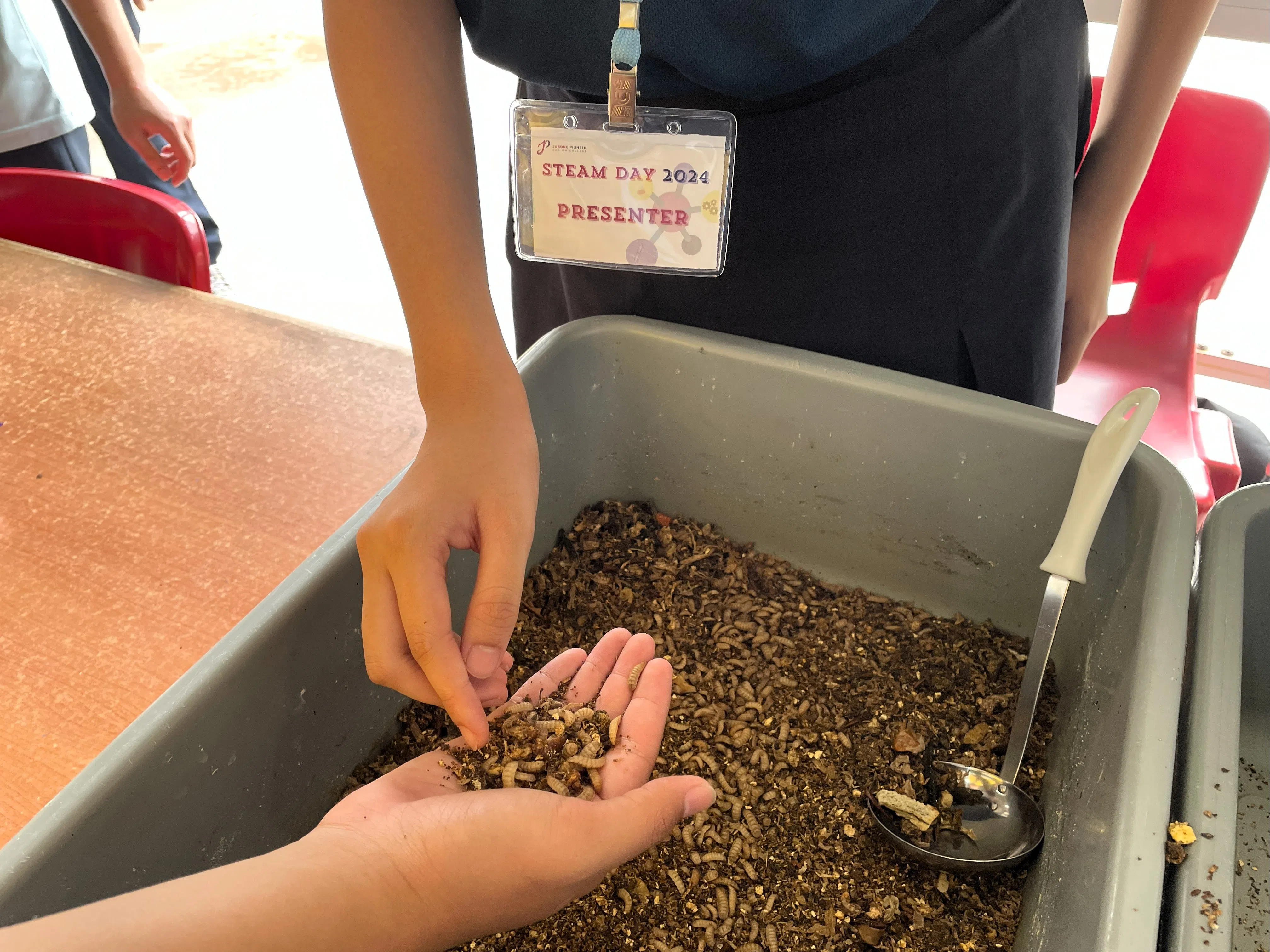 讲解员鼓励参观者大胆触摸黑水虻的幼虫。（裕驱初院提供）