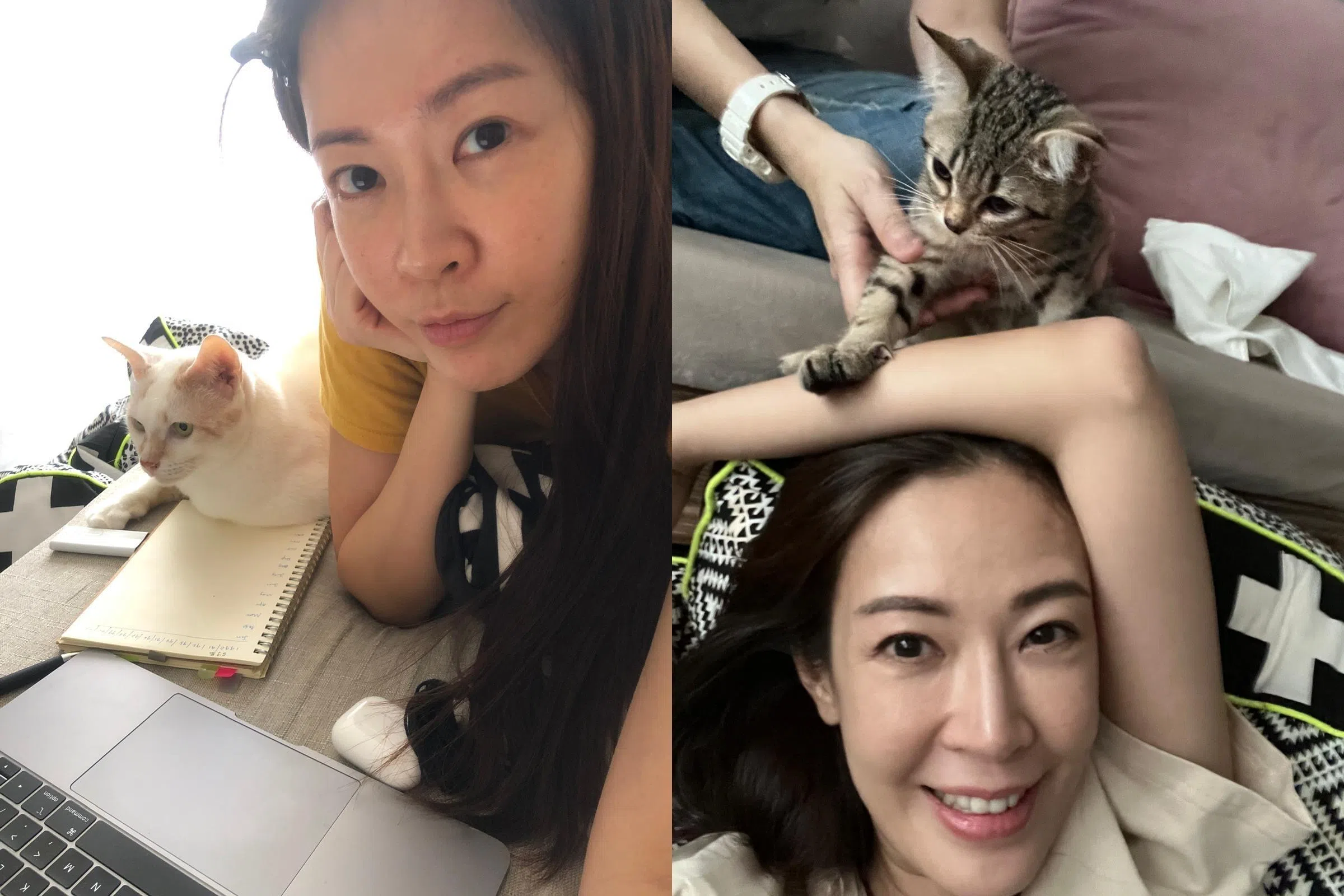 刘子绚与两只猫咪Tigger（左图）和Crusso。（受访者提供）