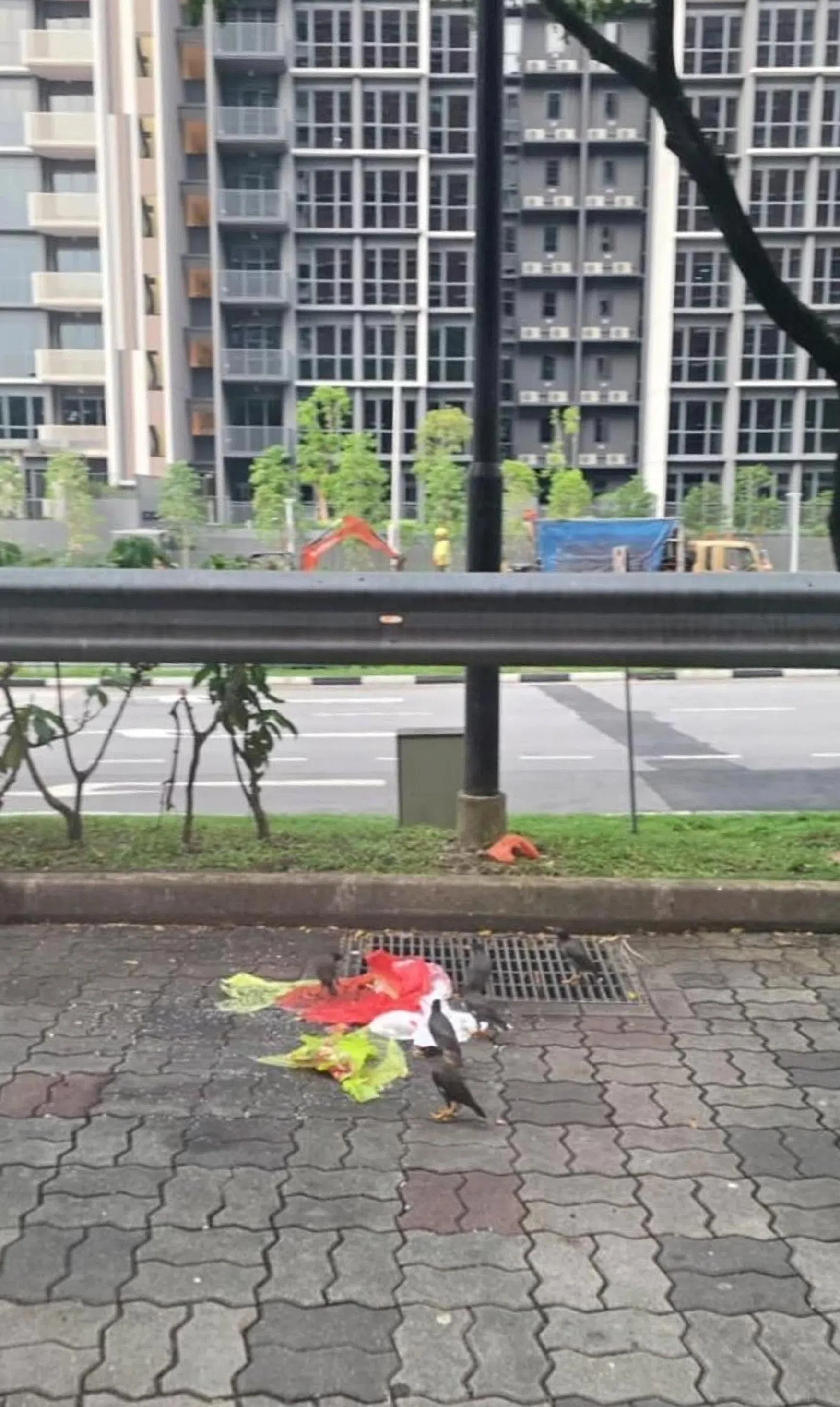数个垃圾袋散落在地上。（取自STOMP）