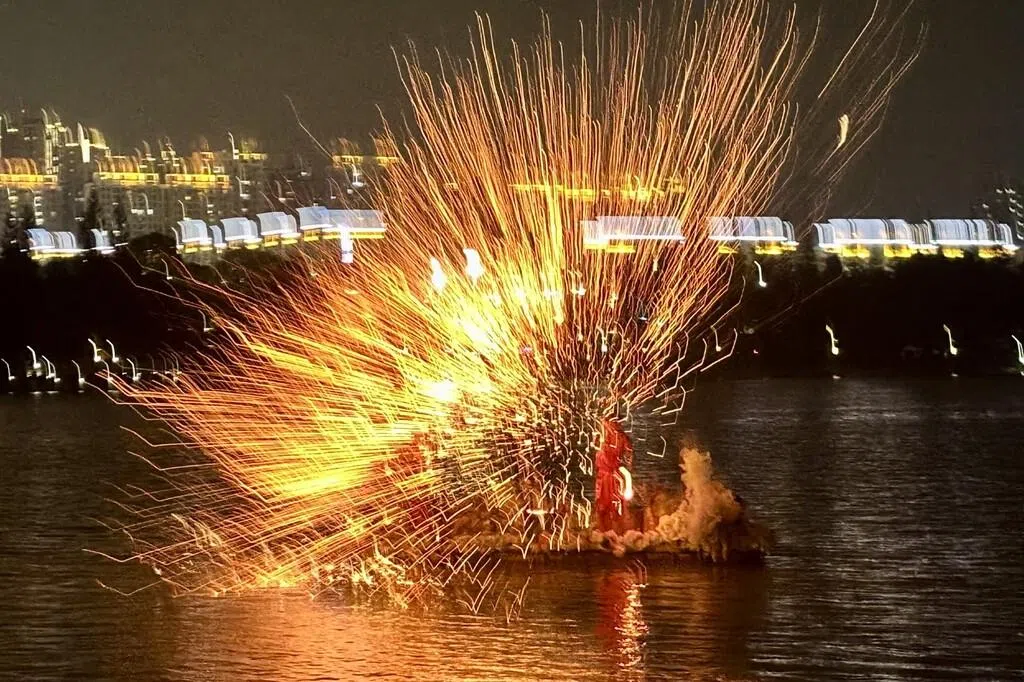 昆明遇花景迈问茶 一场误入春天的邂逅