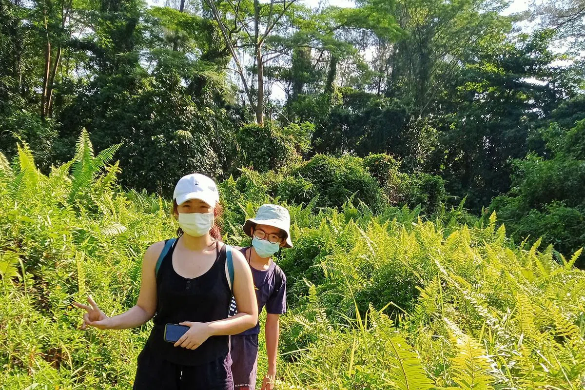 女皇镇之旅带你探索老社区如东陵福和美岭街，并且穿过铁道走廊（Rail Corridor）走进树林里。注：拍摄时有遵守安全社交距离规定。（图／X-TREKKERS ADVENTURE CONSULTANT提供）