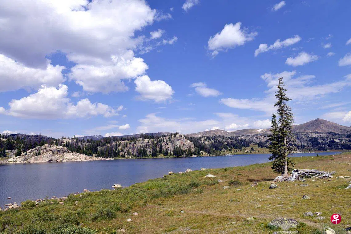 热泉化为眼中人黄石万物有灵且美| 联合早报