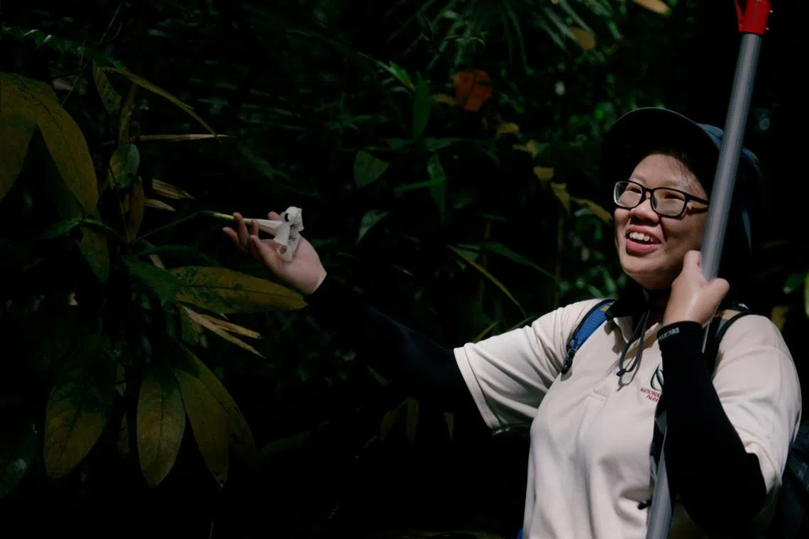 黄欣仪喜欢亲近自然，花鸟与蝴蝶都是她的自然向导。（视频截图）