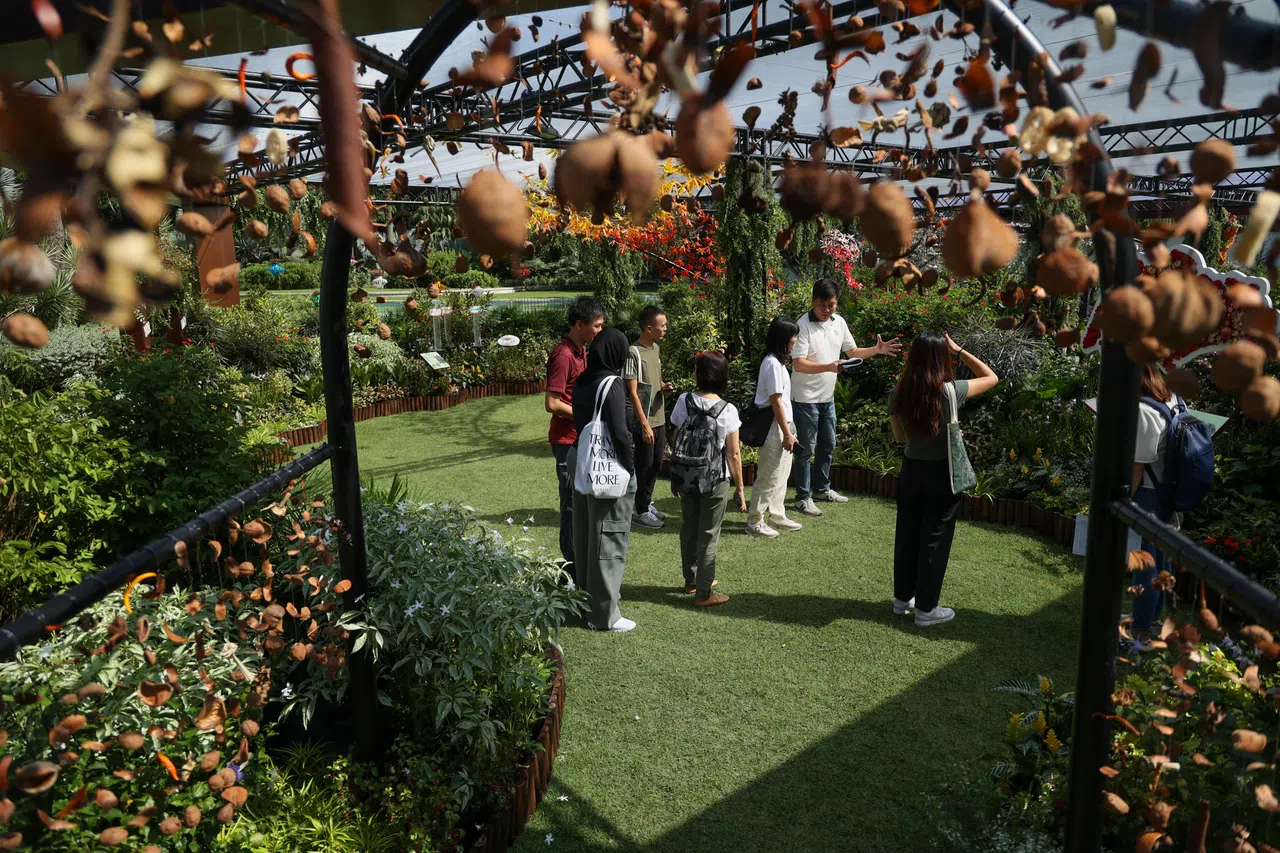 公众不论是否有园艺经验，都能在这里探索植物多样性，学习更多园艺知识。（张俊杰摄）