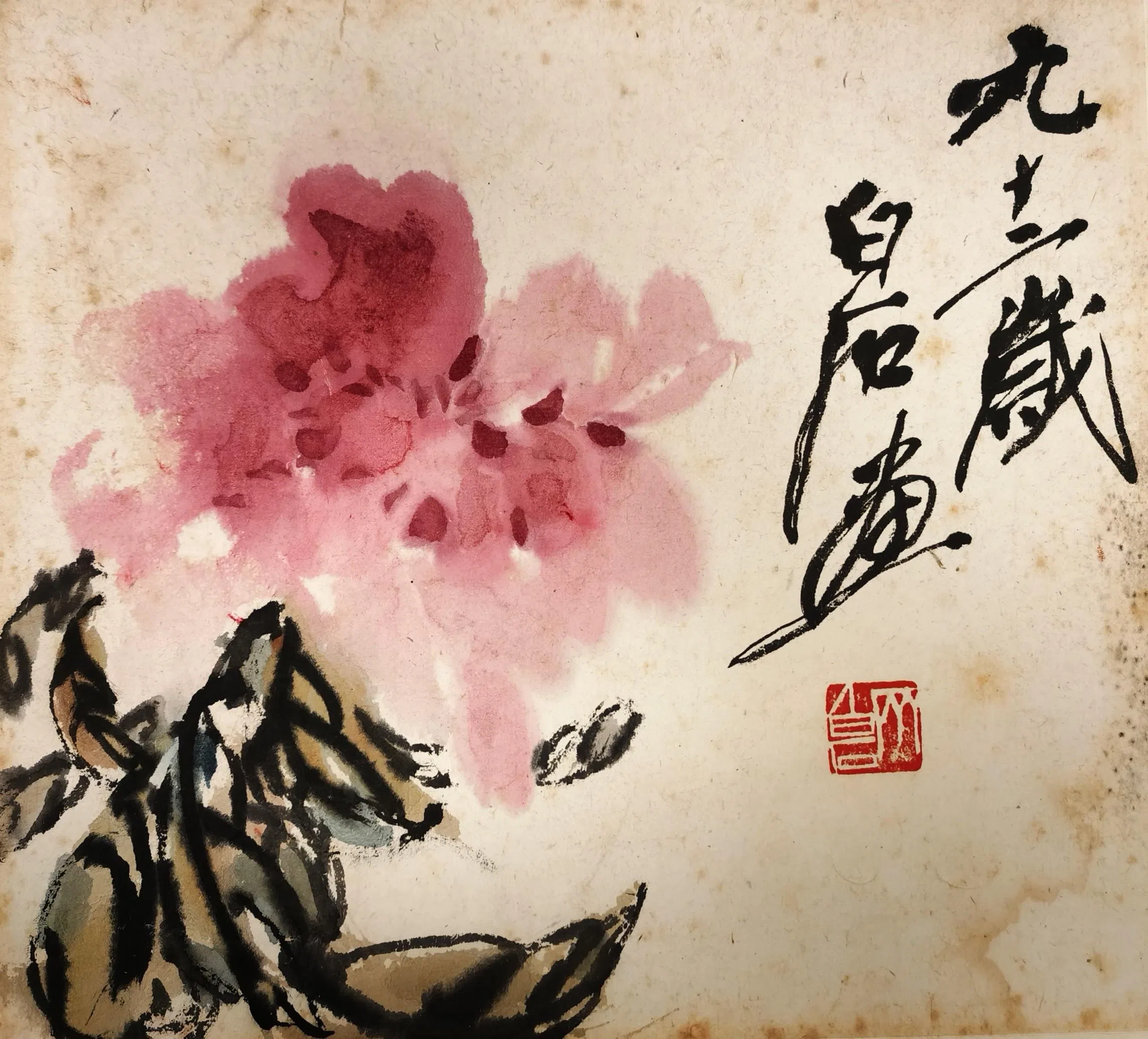 齐白石92岁之作《牡丹》。（澄心堂画廊）