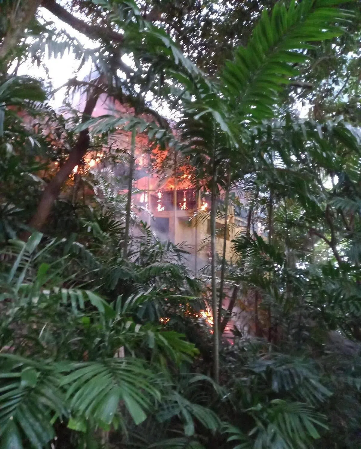 伊萨热泪盈眶地说，刚接到发生火患的消息时，心中有千百个“不可能”，毕竟在老庙的百多年历史中，不曾发生过这样的事。（受访者提供）