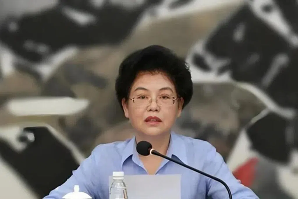 宁夏回族自治区政府前主席刘慧被查