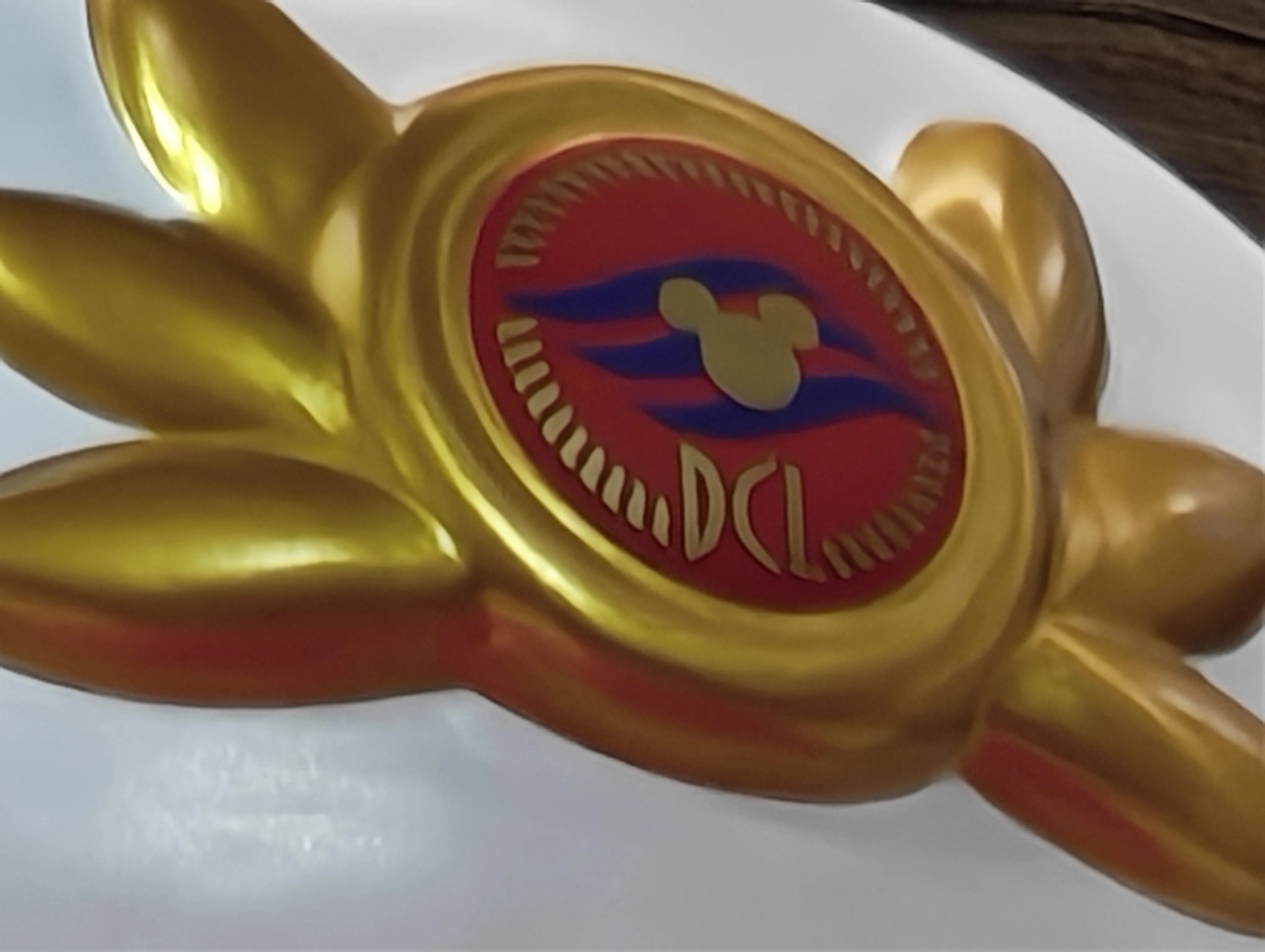 100倍变焦拍出的帽子徽章有点模糊，但仍可辨识。（黄少伟摄）