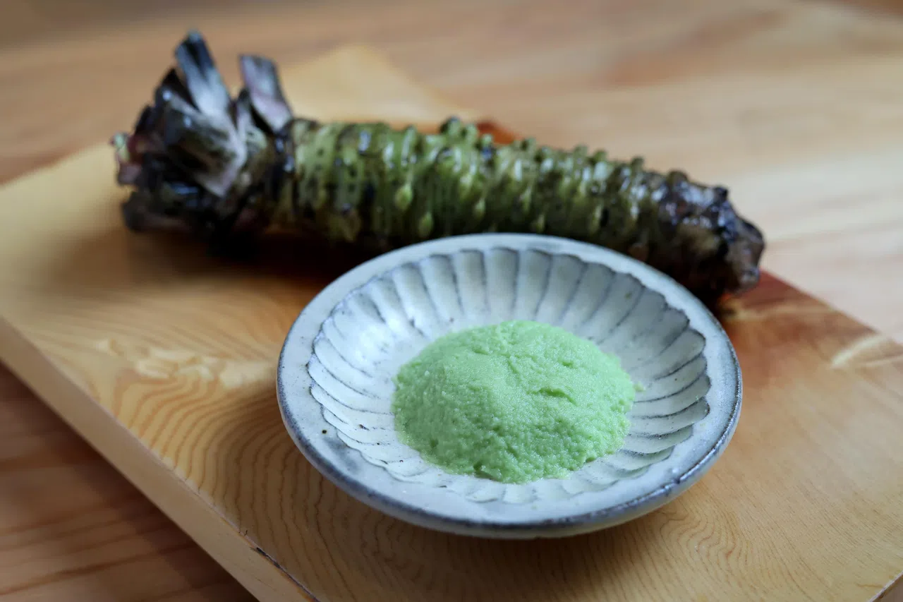 真妻山葵（mazuma wasabi）被誉为山葵界的顶级品种。（龙国雄摄）