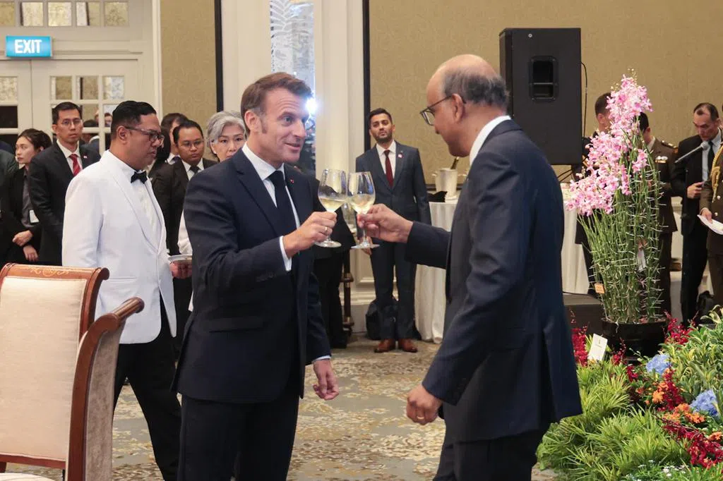 为马克龙设国宴 尚达曼：新法关系如小鸟筑巢 一步一脚印建立深厚互信