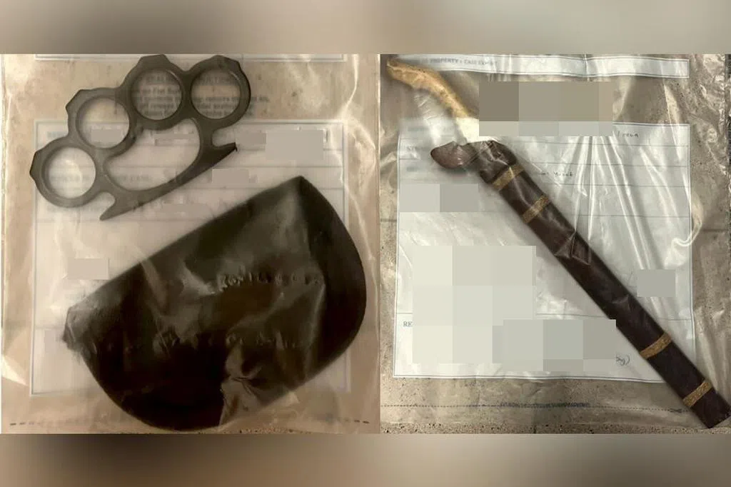 《枪支、爆炸物和武器管制法令》7月1日生效