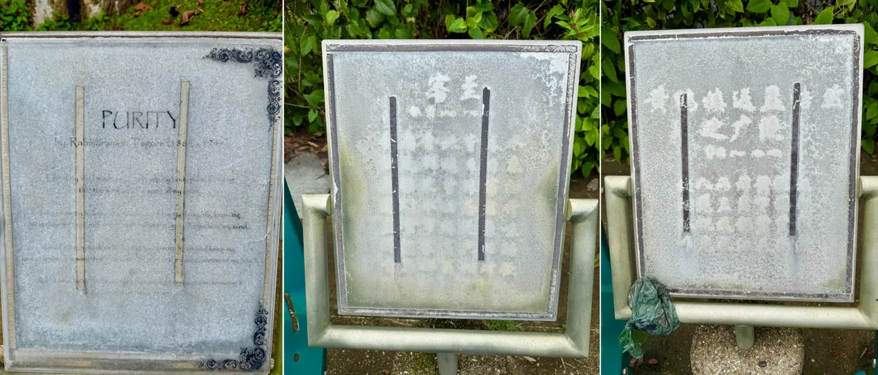 模糊的字迹挑战记忆：（左起）泰戈尔的《纯洁》，杜甫的《客至》，李白的《黄鹤楼送孟浩然之广陵》。（陈映蓁摄）