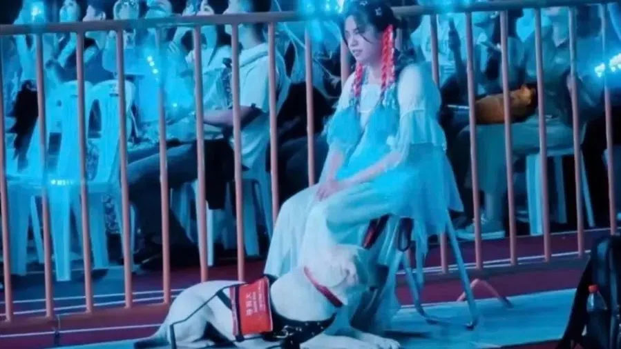 主办方为视障粉丝做了特别安排。（互联网）