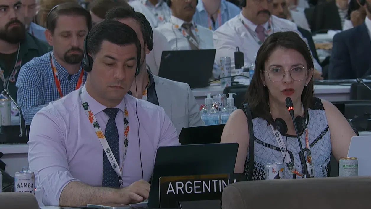 阿根廷代表（右）指俄罗斯的“小孩拿糖”论令人感到受辱。（视频截图）